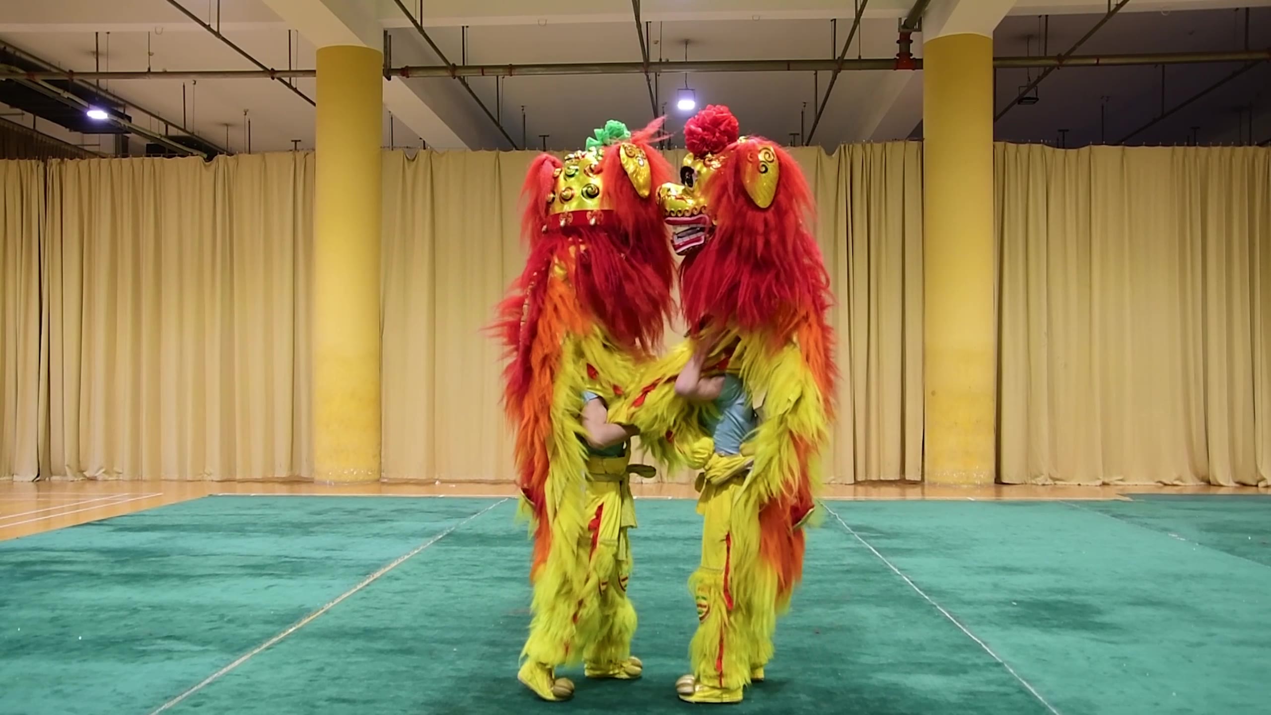 “龍騰獅躍”賀新春
